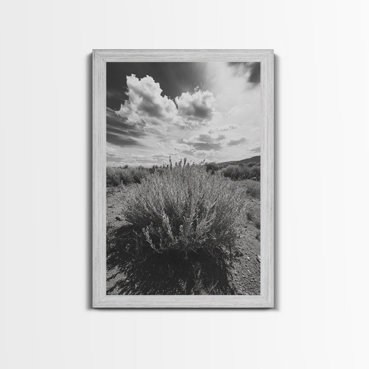 Desert Sage, Cloud Sky, Nature Wall Decor, Framed Canvas Print, Minimalist Art, Boho Style, Neutral Tones, Entryway Botanical Print