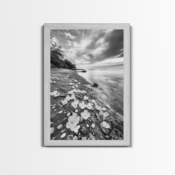 Flower Shore, Peaceful Beach, Moody Sky, Petal Scape, Framed Canvas Print, romantic beach art, bedroom decor, black and white floral print
