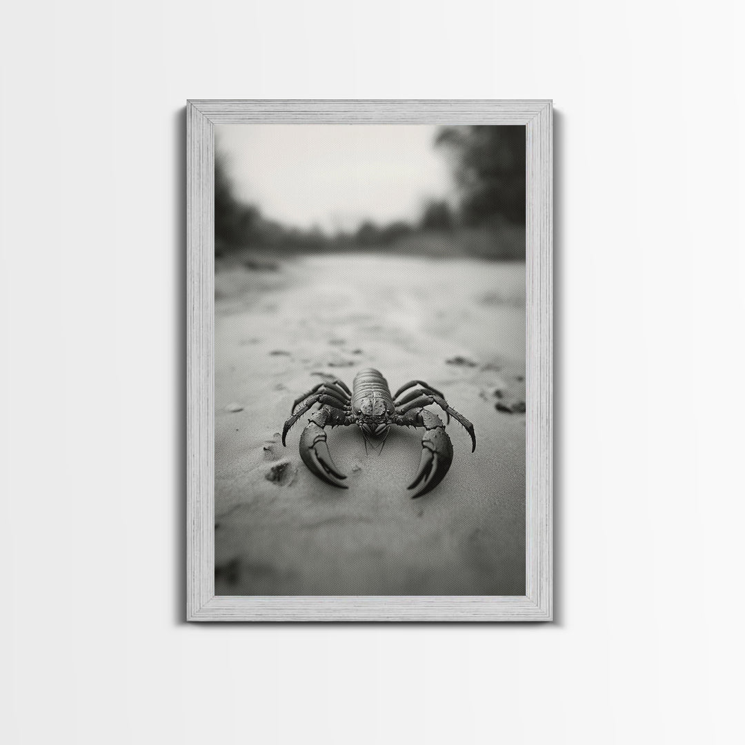 Desert Scorpion, Moody Wildlife, Sandy Ground, Focused Predator, Framed Canvas Print, edgy boho decor, masculine wall art, nature closeup
