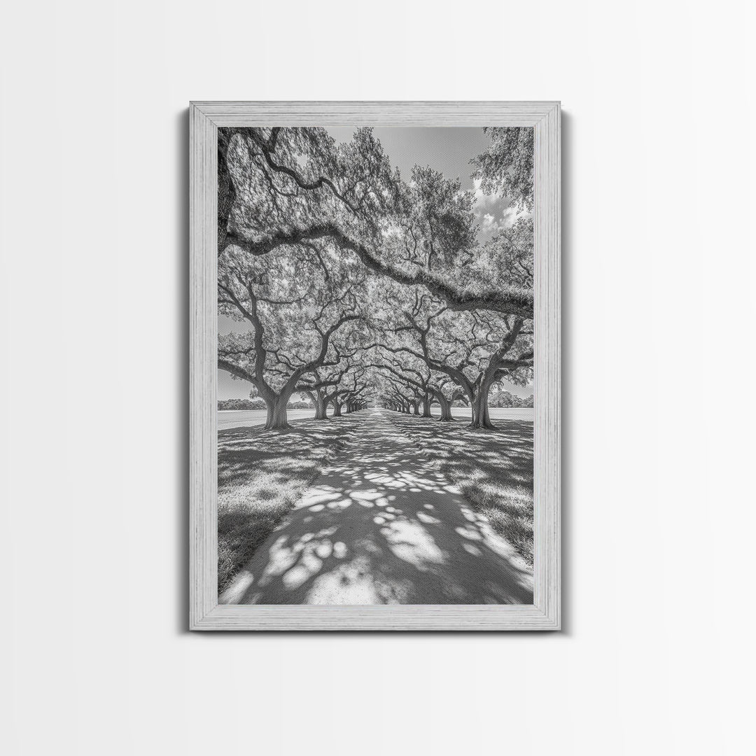 Oak Tree Tunnel, Southern Charm, Shaded Pathway, Timeless Trees Framed Canvas Print, farmhouse wall decor, hallway landscape art