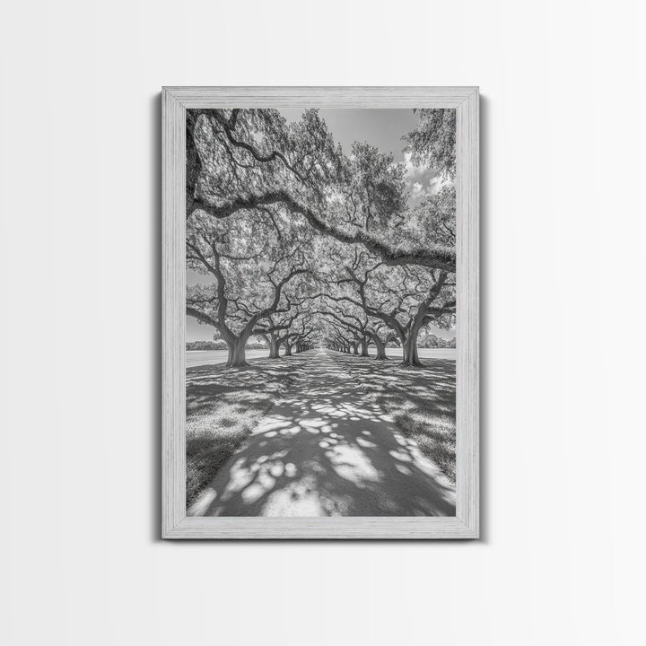 Oak Tree Tunnel, Southern Charm, Shaded Pathway, Timeless Trees Framed Canvas Print, farmhouse wall decor, hallway landscape art