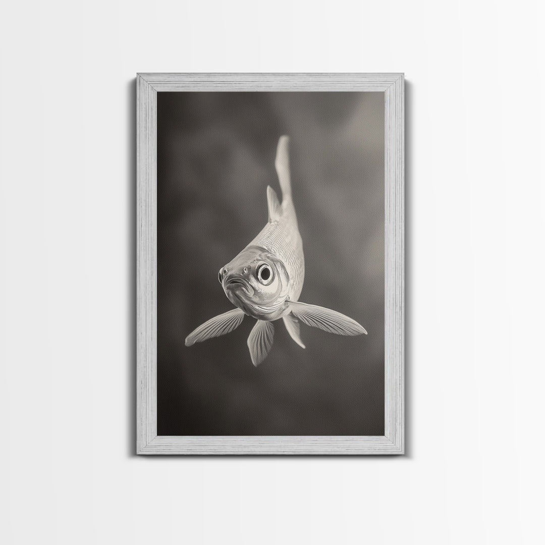 Curious Fish, Underwater Focus, Moody Marine Life, Framed Canvas Print, Bathroom Wall Art, Black and White Ocean Wildlife Decor