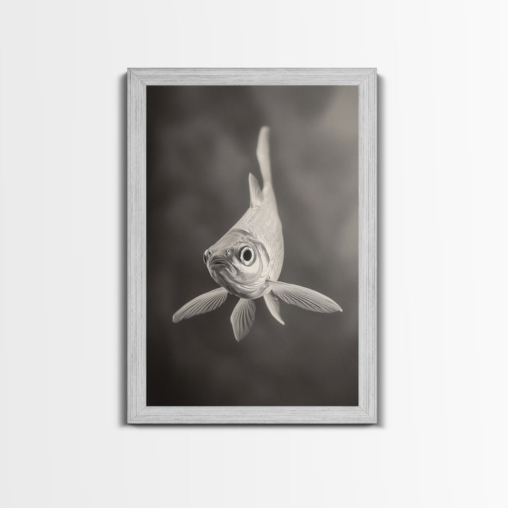 Curious Fish, Underwater Focus, Moody Marine Life, Framed Canvas Print, Bathroom Wall Art, Black and White Ocean Wildlife Decor