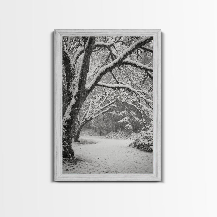 Snowfall Trees, Winter Forest, Nature Pathway, Canvas Print, Holiday Season Decor, Cozy Living Room or Cabin Wall Art