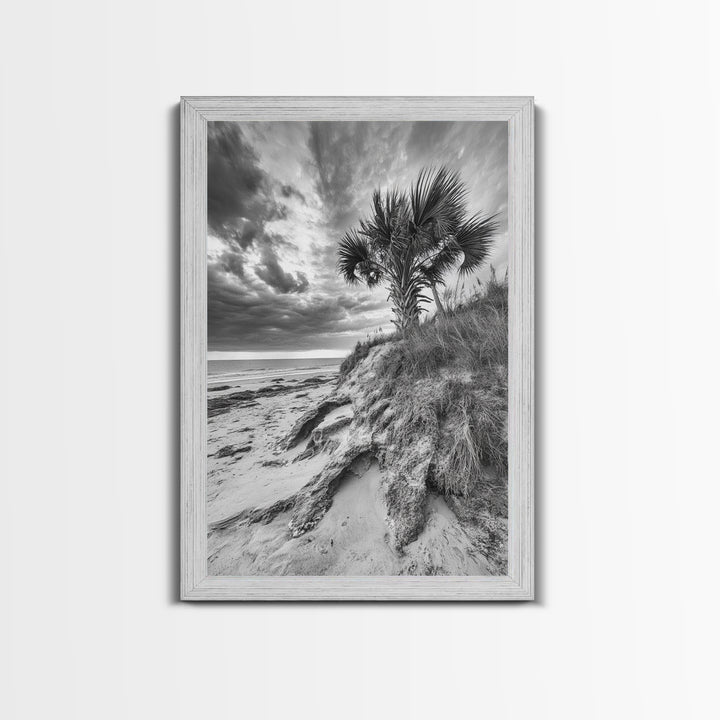 Palm Tree Beach, Coastal Dunes, Dramatic Sky, Framed Canvas Print, Tropical Wall Art, Boho Living Room Decor, Beach House Art