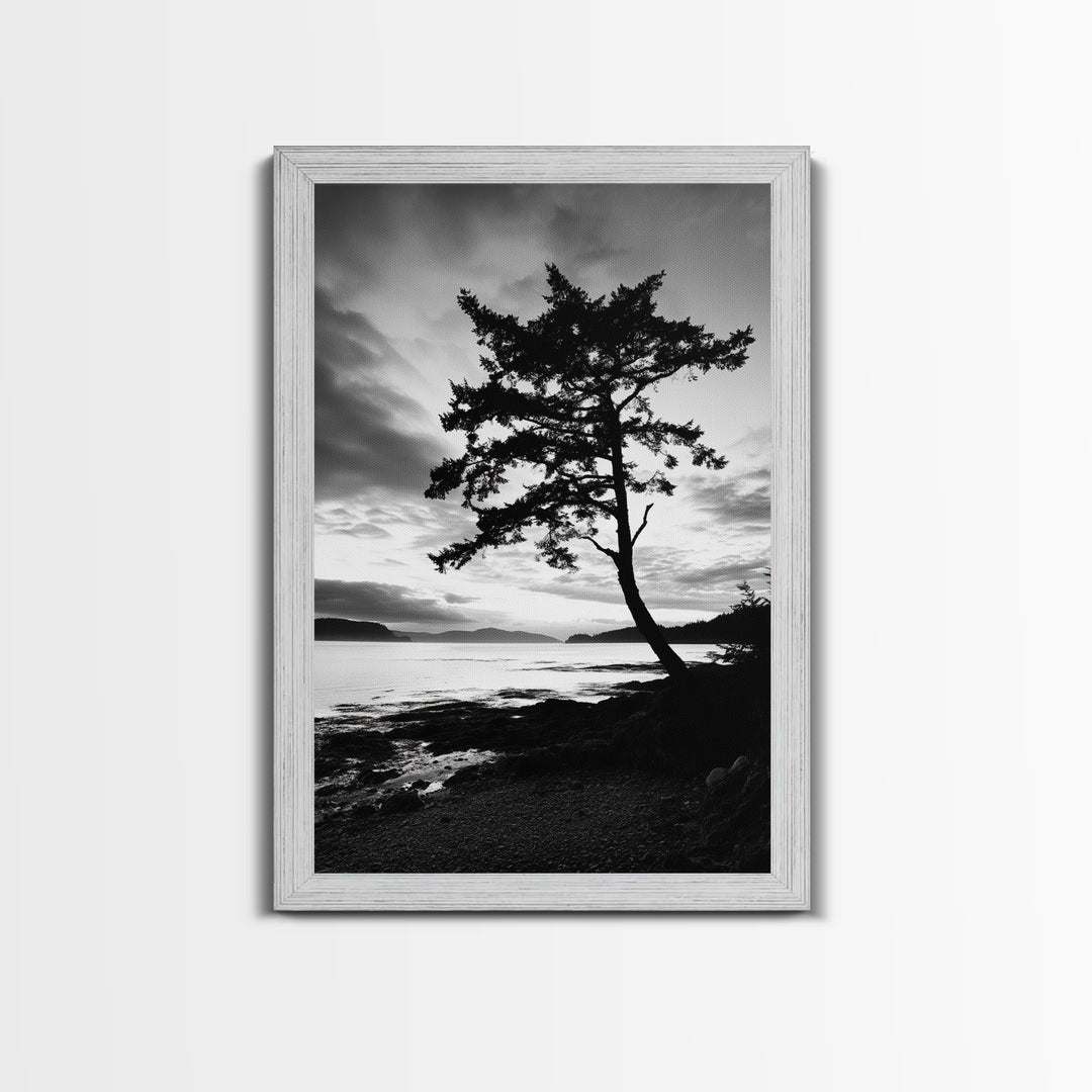 Coastal Tree, Pacific Northwest, Serene Landscape, Monochrome Nature Scene, Framed Canvas Print, Entryway Art, Rustic Cabin Wall Decor
