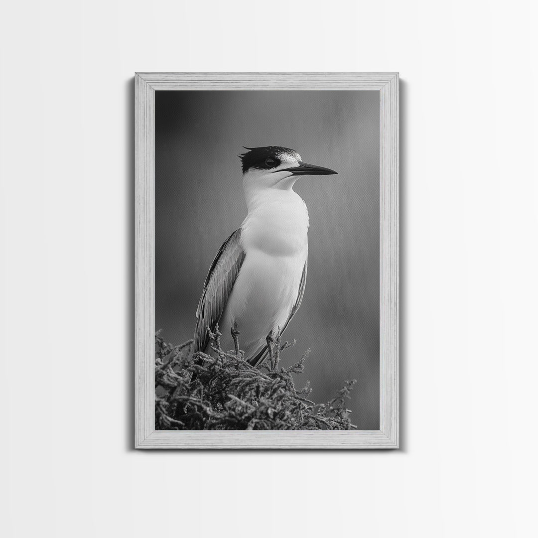 Coastal Bird Portrait, Black White Art, Nature Print, Minimalist Style, Living Room Wall Decor, Framed Canvas Print, Beach House Art