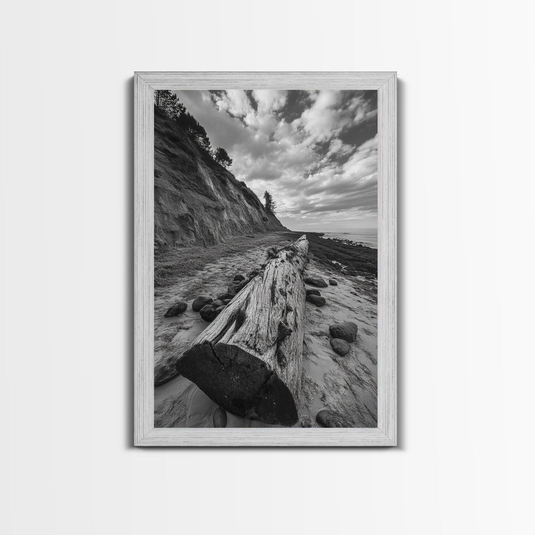 Driftwood Coastal Trail, Cliffside Path Nature Art, Rustic Cabin Style, Black White Photography, Framed Canvas Print, Hallway Wall Decor