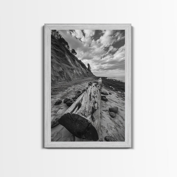 Driftwood Coastal Trail, Cliffside Path Nature Art, Rustic Cabin Style, Black White Photography, Framed Canvas Print, Hallway Wall Decor