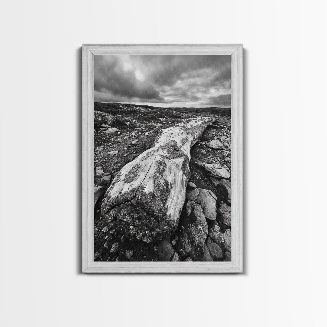 Rocky Terrain Driftwood, Weathered Wood Scene, Outdoor Adventure Art, Modern Rustic Decor, Framed Canvas Print, Earthy Tones Photography