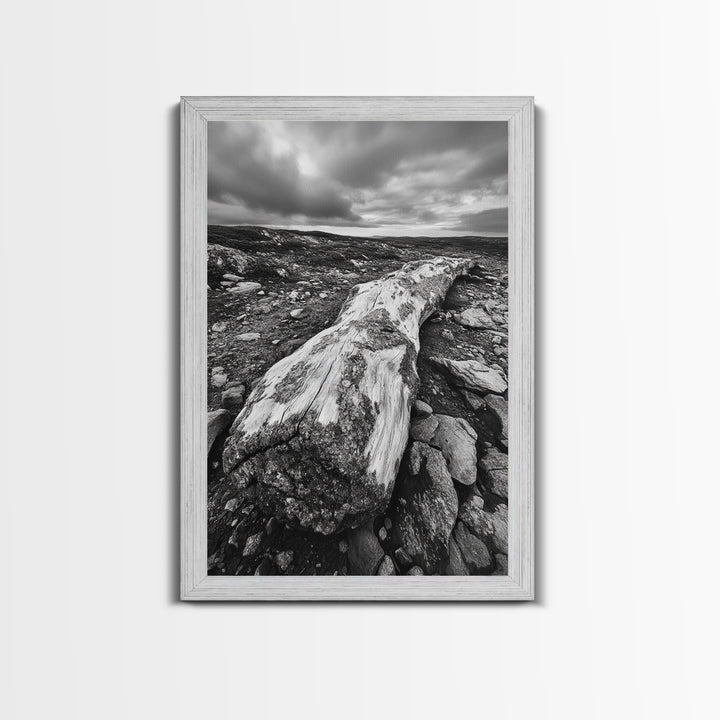 Rocky Terrain Driftwood, Weathered Wood Scene, Outdoor Adventure Art, Modern Rustic Decor, Framed Canvas Print, Earthy Tones Photography