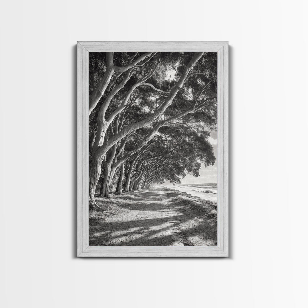 Coastal Tree Path, Nature Shadows, Ocean Breeze, Autumn Light, Framed Canvas Print, Living Room Wall Art, Moody Landscape Photography