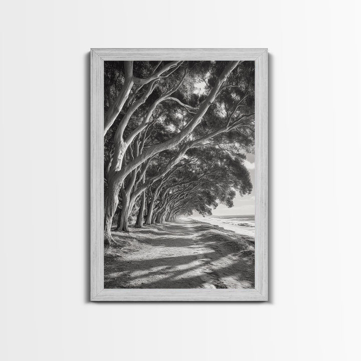 Coastal Tree Path, Nature Shadows, Ocean Breeze, Autumn Light, Framed Canvas Print, Living Room Wall Art, Moody Landscape Photography