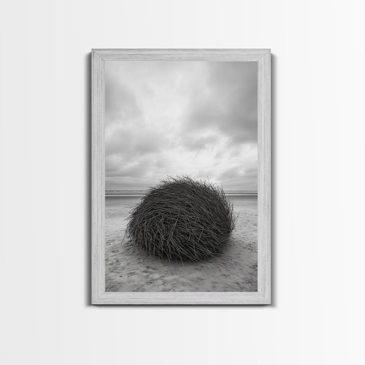 Windswept Beach Nest, Natural Sculpture, Driftwood Ball, Solitude Scene, Canvas Print, Minimalist Wall Art, Neutral Bedroom Decor