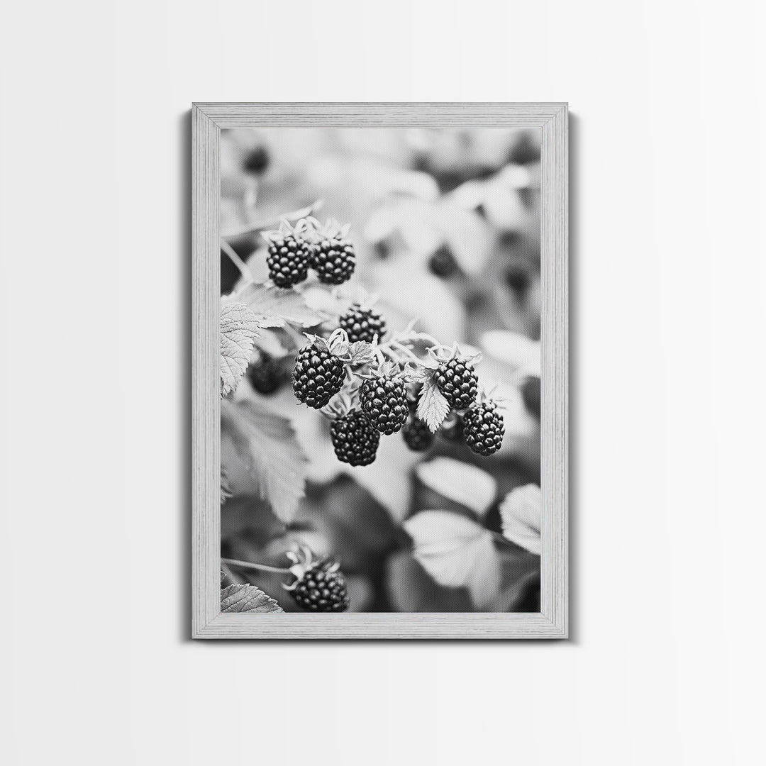 Blackberries in Bloom, Ripe Fruit Closeup, Garden Harvest, Natural Beauty, Framed Canvas Print, Farmhouse Kitchen Art, Fall Decor