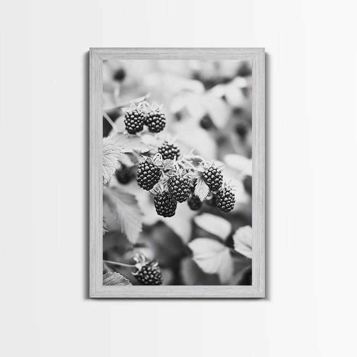 Blackberries in Bloom, Ripe Fruit Closeup, Garden Harvest, Natural Beauty, Framed Canvas Print, Farmhouse Kitchen Art, Fall Decor