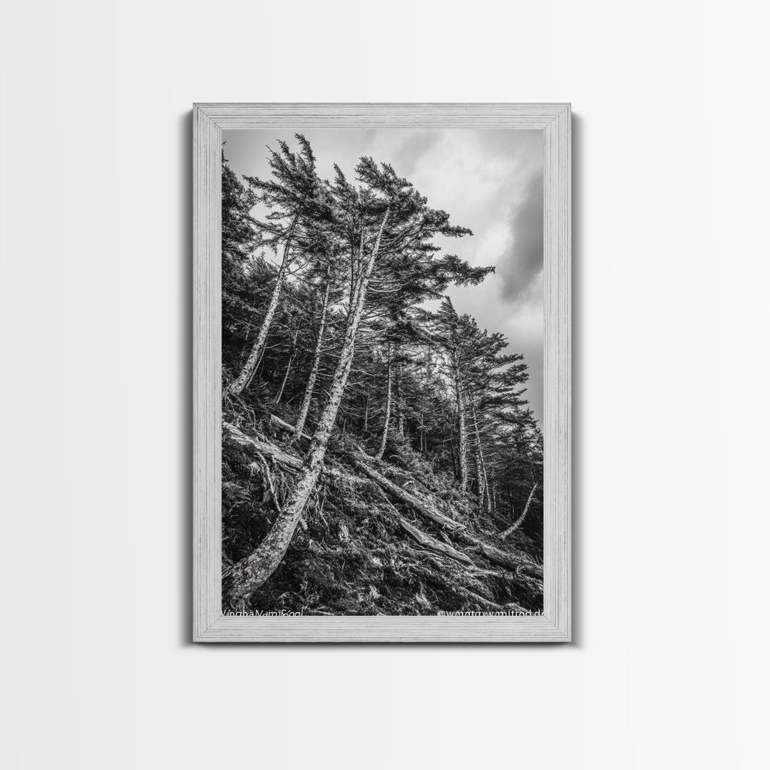 Windy Pines, Forest Landscape, Nature Photography, Framed Canvas Print, Rustic Wall Art, Cabin Decor, Minimalist Art, Fall Home Style