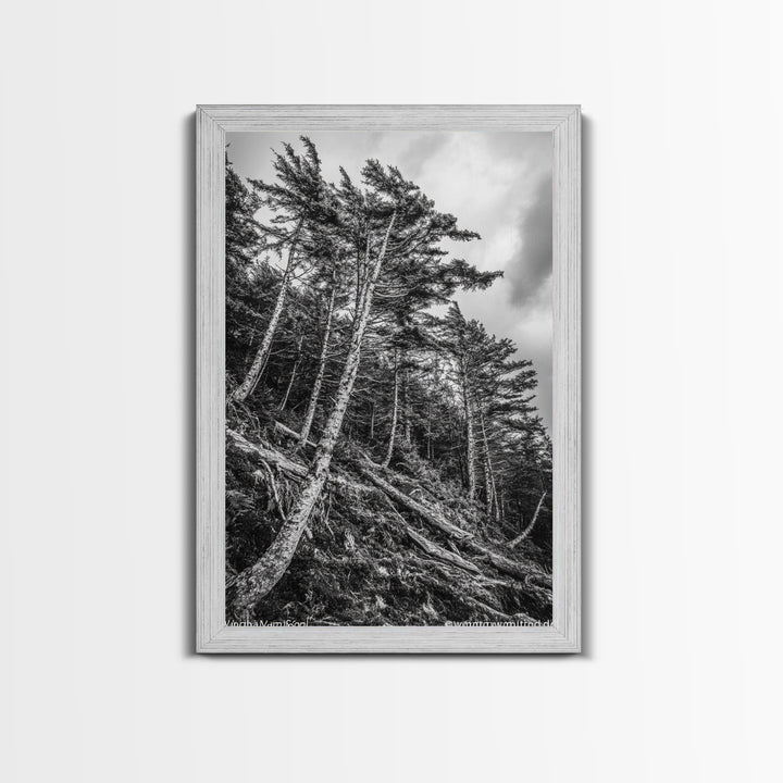Windy Pines, Forest Landscape, Nature Photography, Framed Canvas Print, Rustic Wall Art, Cabin Decor, Minimalist Art, Fall Home Style