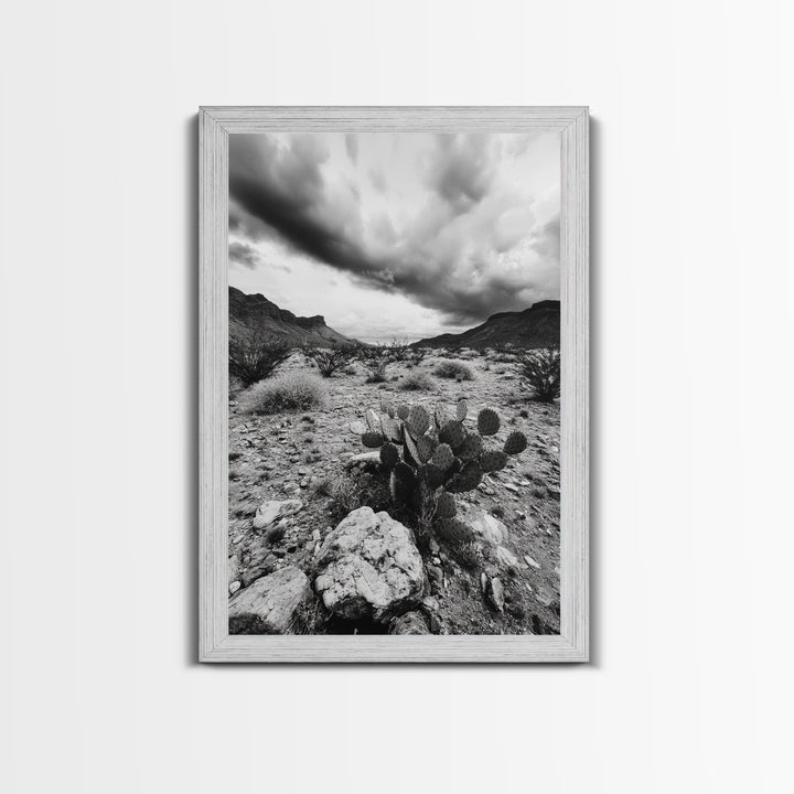 Desert Storm, Cactus Scene, Black White Art, Canvas Print, Southwest Wall Art, Earthy Tones Decor, Boho Style, Entryway Wall Accent