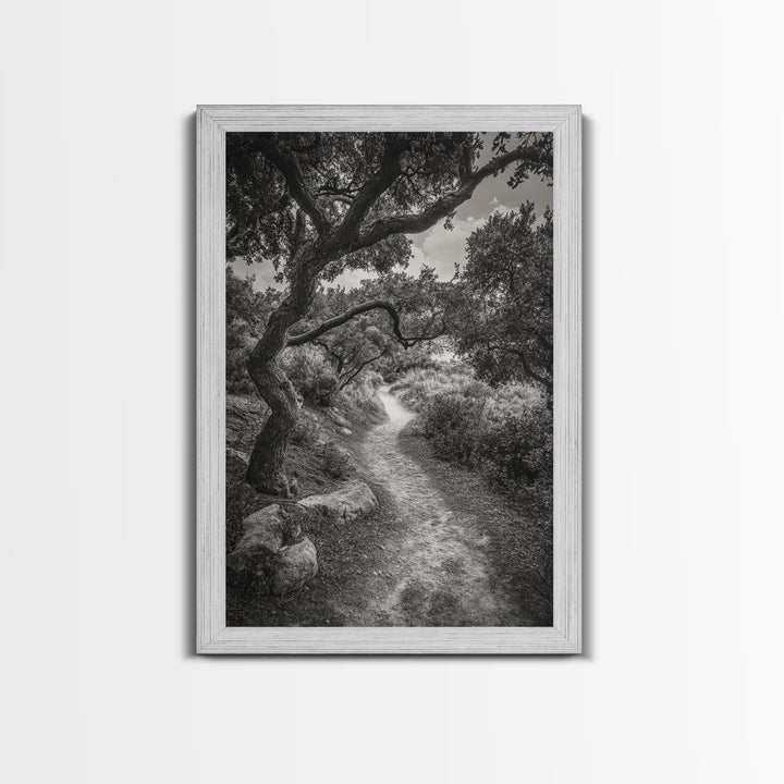 Forest Path, Twisting Trees, Nature Trail Scene, Framed Canvas Print, Earthy Wall Art, Boho Woodland Decor, Entryway or Hallway Accent