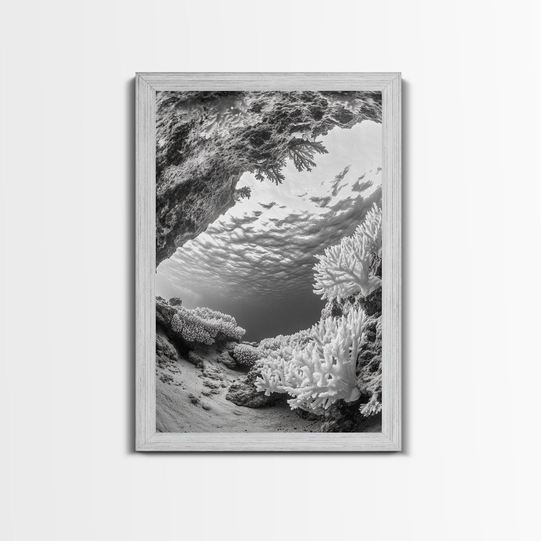 Coral Reef Underwater, Ocean Photography, Marine Nature Scene, Framed Canvas Print, Bathroom Wall Art, Coastal Minimalist Decor