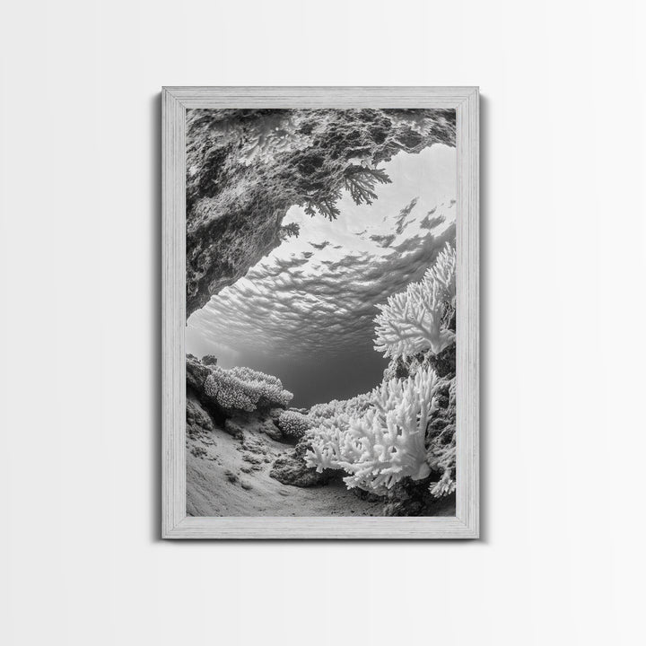 Coral Reef Underwater, Ocean Photography, Marine Nature Scene, Framed Canvas Print, Bathroom Wall Art, Coastal Minimalist Decor