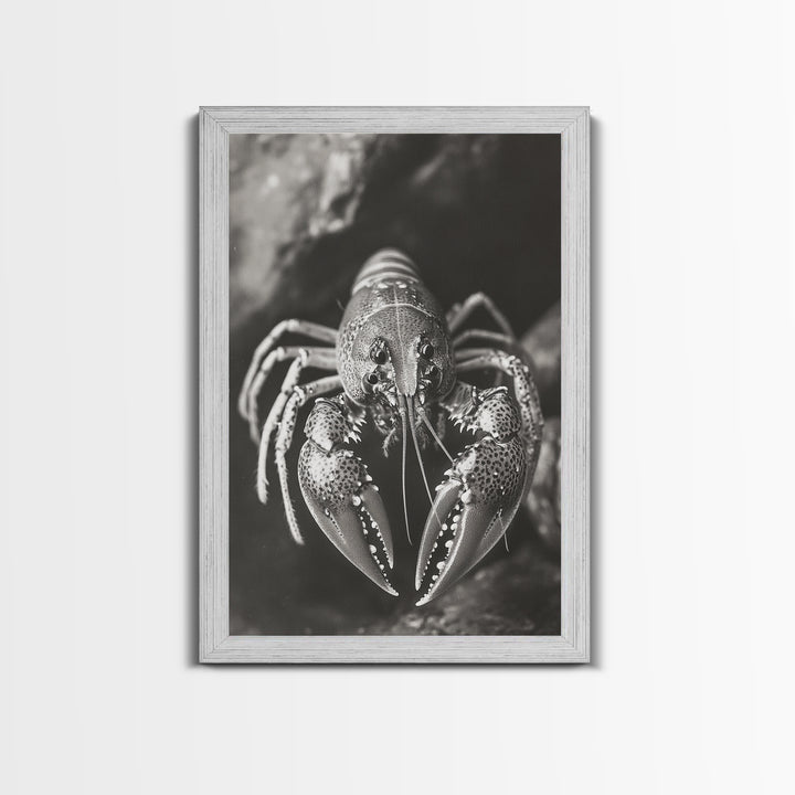Lobster Close Up, Marine Life Art, Coastal Kitchen Decor, Monochrome Sea Animal, Framed Canvas Print, Ocean Wall Art, Nautical Print