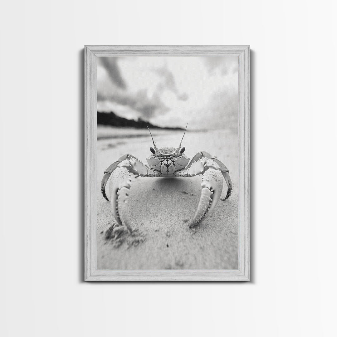 Beach Crab Portrait, Closeup Ocean Art, Tropical Minimalism, Coastal Creature Photo, Framed Canvas Print, Bathroom Wall Decor, Marine Decor