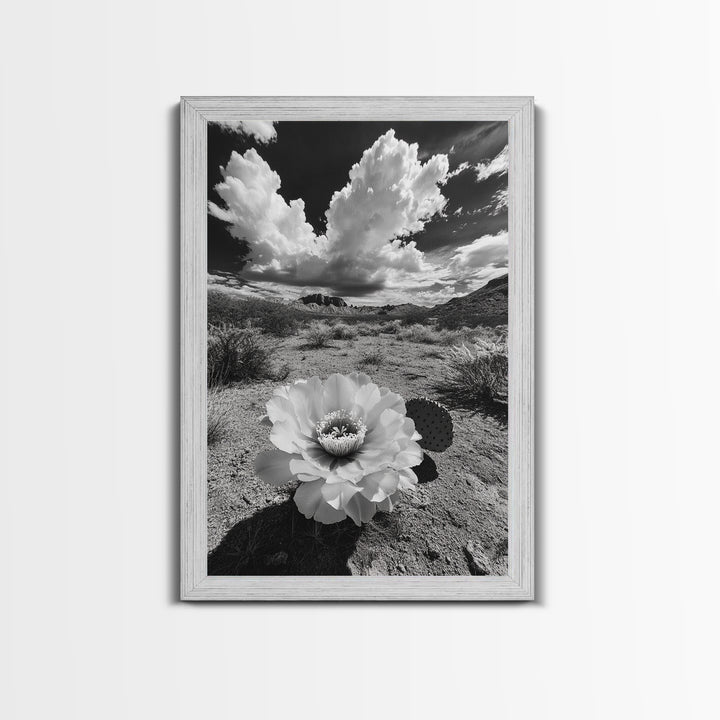 Desert Bloom, Cactus Flower, Bold Nature, Framed Canvas Print, Boho Wall Art, Southwestern Home Decor, Dramatic Desert Photography