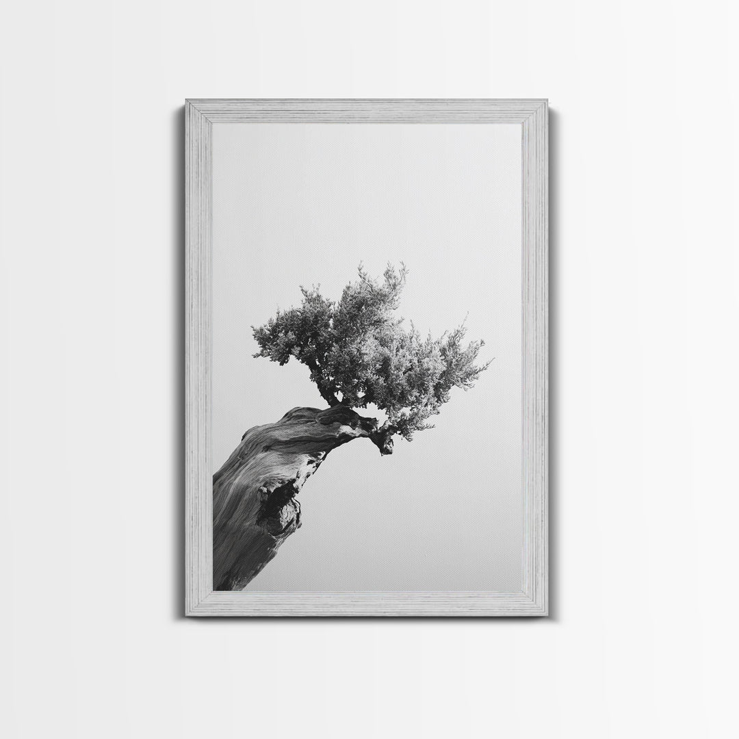 Bonsai Tree, Windswept Wood, Minimal Zen, Canvas Print, Japanese Style Art, Wabi Sabi Decor, Monochrome Botanical Wall Accent