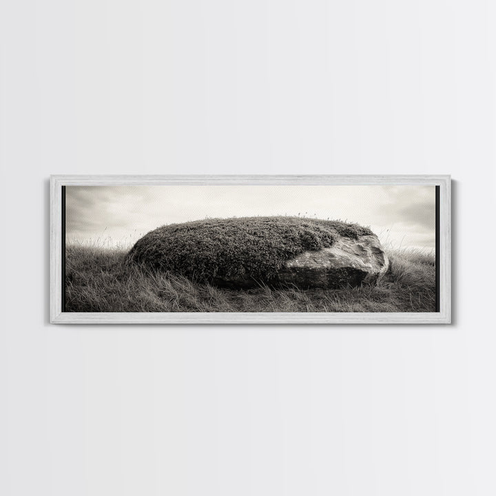 Heather Rock, Grassy Field, Natural Simplicity, Earthy Tones, Canvas Print, Rustic Home Decor, Minimalist Nature Wall Art, Fall Inspired Art