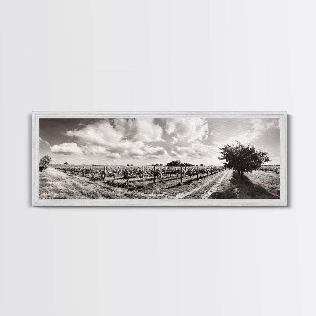 Vineyard Rows, Sunny Fields, Cloudy Sky, Canvas Print, Rustic Country Decor, Dining Room Wall Art, Wine Country Landscape, Farmhouse Style
