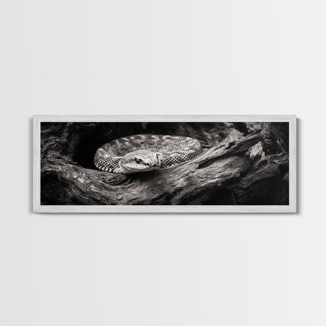 Coiled Rattlesnake, Wild Nature, Black and White, Canvas Print, Rustic Decor, Man Cave Wall Art, Cabin Style, Animal Photography, Moody Art
