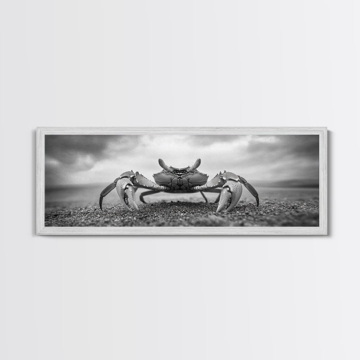 Closeup Crab, Coastal Creature, Dramatic Sand, Framed Canvas Print, Beach Wall Art, Nautical Bathroom Decor, Ocean Nature Photo