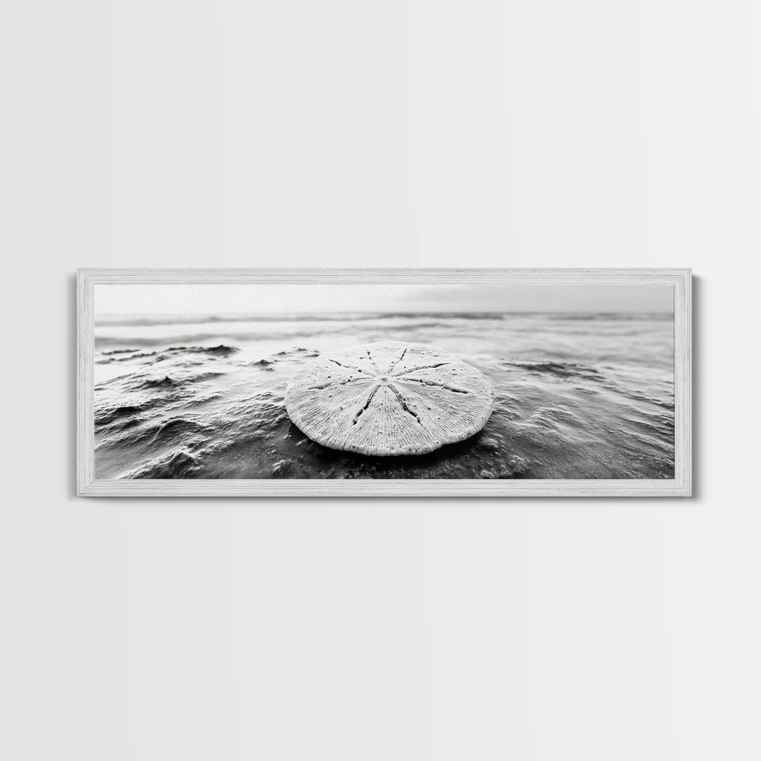 Sand Dollar, Ocean Shore, Calm Waters, Canvas Print, Coastal Wall Art, Minimalist Bathroom Decor, Seashell Beach Photography