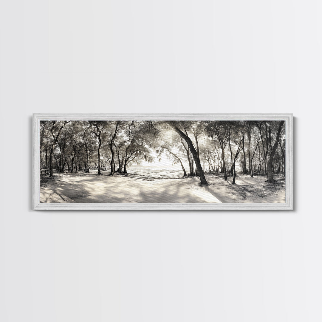 Dreamy Beach Forest, Sepia Trees, Canvas Print, Nature Wall Decor, Fall Bedroom Art, Rustic Woodland Landscape, Tree Shadow Light