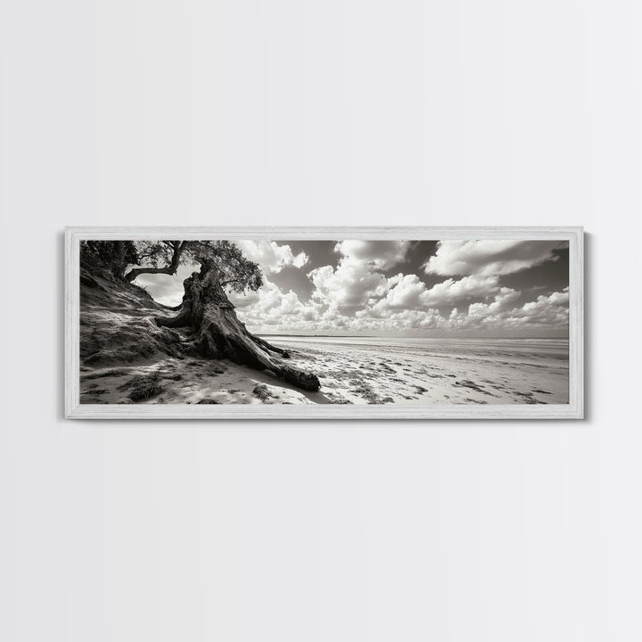 Coastal Tree Roots, Windswept Beach, Natural Form, Framed Canvas Print, Boho Wall Art, Entryway Decor, Beach House Aesthetic