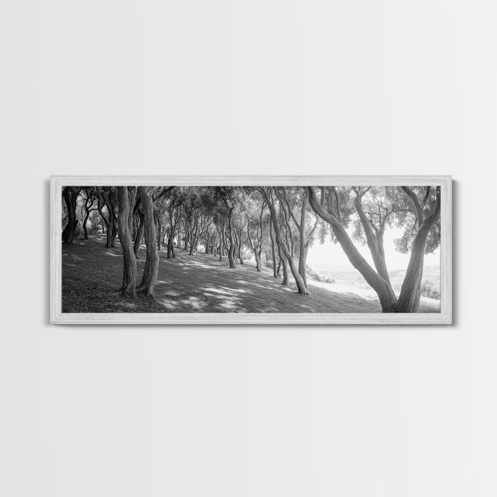 Forest Path, Tree Tunnel, Light Shadows, Woodland Magic, Framed Canvas Print, Nature Lover Gift, Entryway Wall Art, Modern Rustic Style