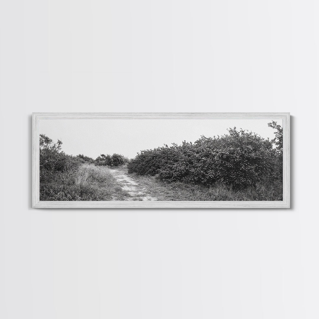 Wild Apple Path, Nature Overgrowth, Autumn Orchard Trail, Canvas Print, Fall Farmhouse Kitchen Art, Rustic Seasonal Wall Decor