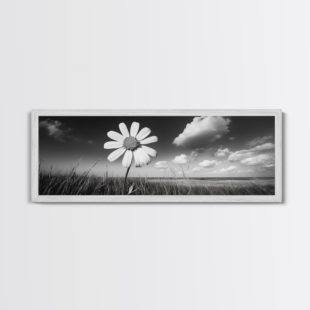 Daisy Flower, Single Bloom, Coastal Breeze, Minimal Wall Decor, Framed Canvas Print, Boho Bedroom Art, Nature Inspired Photography