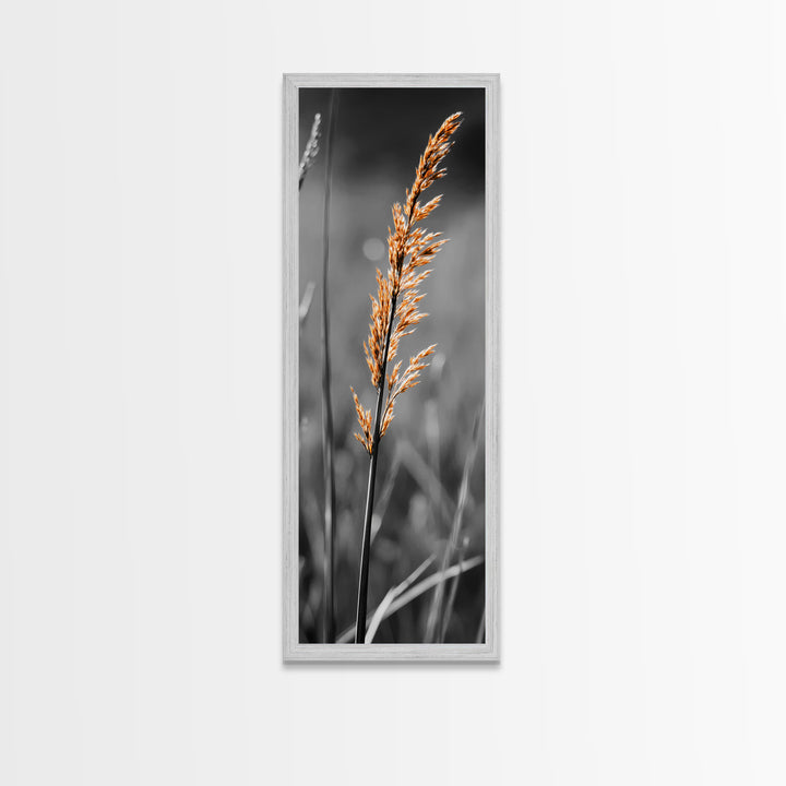 Autumn Grass, Botanical Print, Nature Photography, Single Stem, Canvas Print, Fall Wall Art, Neutral Home Decor, Minimalist Living Room Art