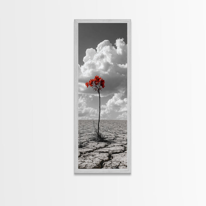 Red Bloom, Desert Flower, Solitary Beauty, Bold Nature, Framed Canvas Print, Dramatic Wall Art, Modern Bedroom Decor, Minimalist Botanical Art