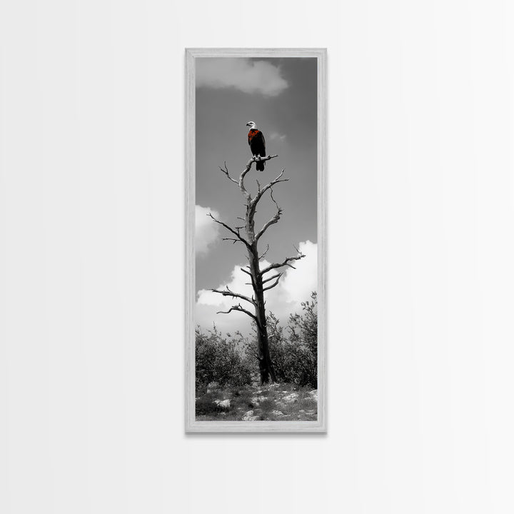 Lone Eagle, Tree Perch, Wild Raptor, Fierce Freedom, Canvas Print, Rustic Wildlife Wall Art, Cabin Lodge Decor, Dramatic Nature Scene
