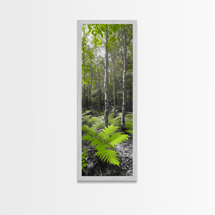 Birch Tree Forest, Green Ferns, Nature Escape, Framed Canvas Print, Botanical Art, Eco Wall Decor, Zen Forest Scene, Serene Living Room