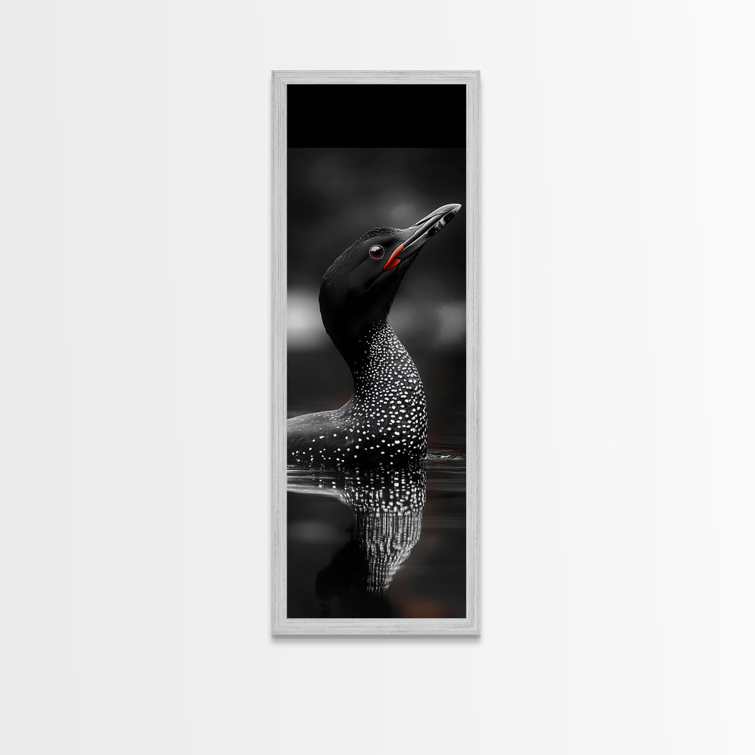 Loon Bird, Red Eye, Monochrome Wildlife, Nature Framed Canvas Print, modern living room wall art, black and white animal art