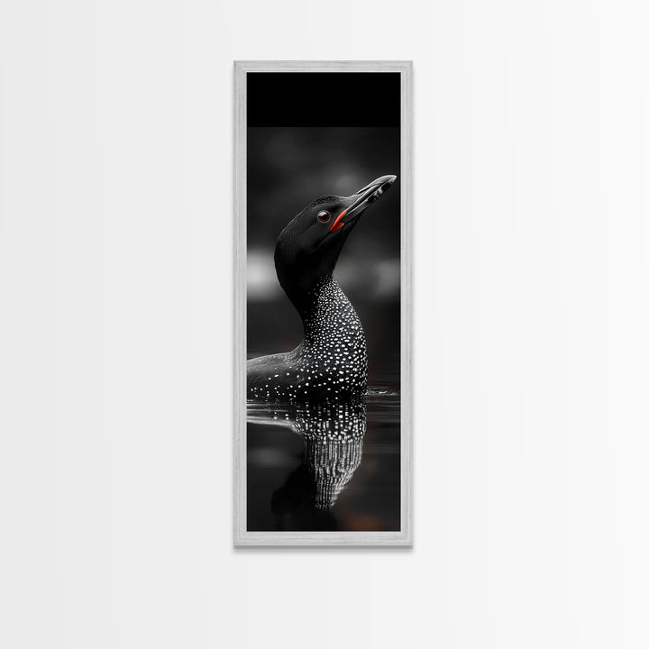 Loon Bird, Red Eye, Monochrome Wildlife, Nature Framed Canvas Print, modern living room wall art, black and white animal art