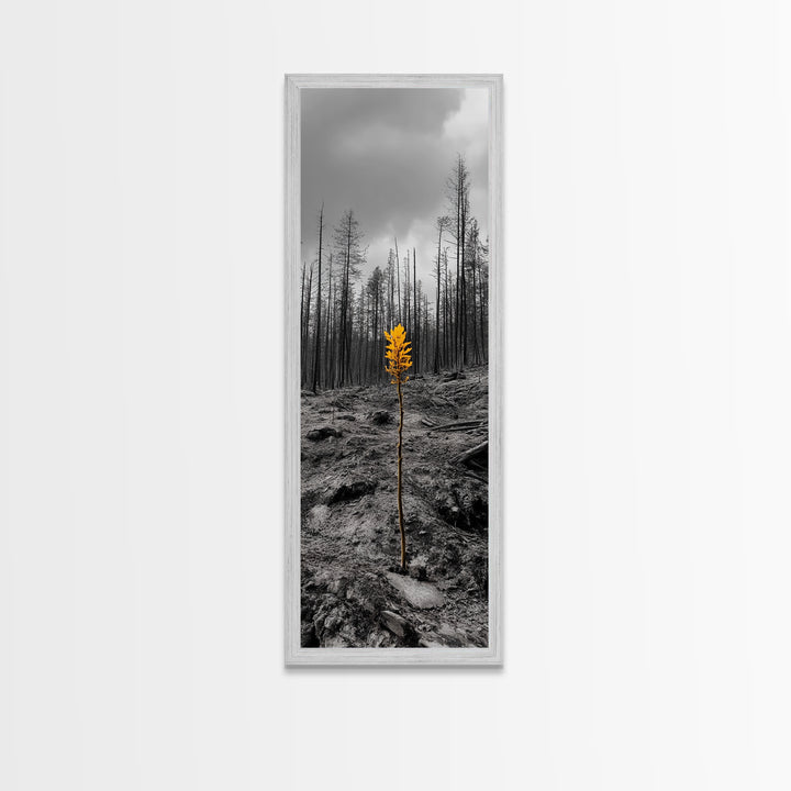 Lone Sprout, Forest Renewal, Emotional Nature Scene, Moody Landscape Art, Framed Canvas Print, Autumn Wall Decor, Rustic Nature Style
