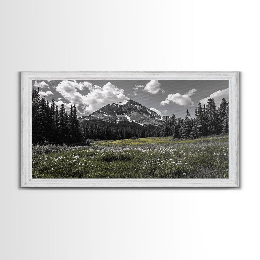 Mountain, Meadow, Wildflowers, Alpine meadow bloom and majestic peak on this Framed Canvas Print, serene Nature Wall Art for Entryway