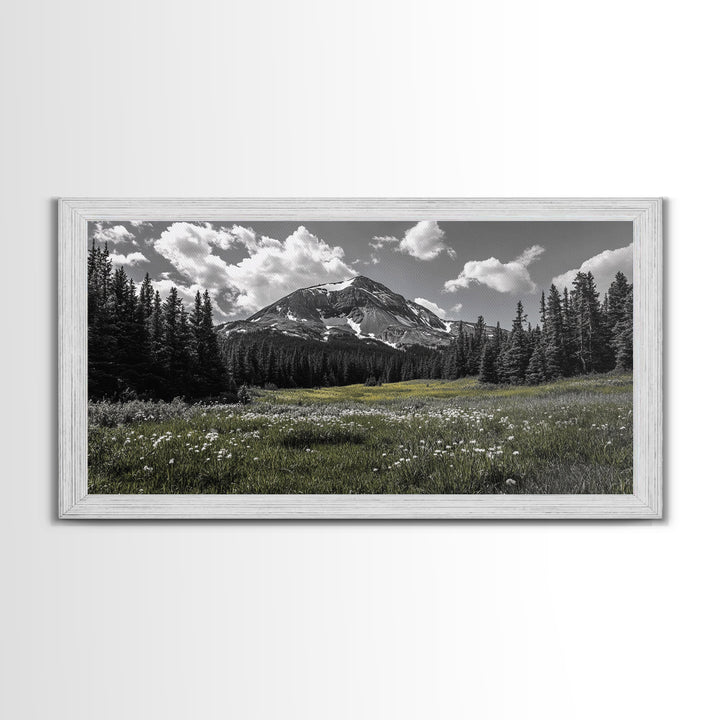 Mountain, Meadow, Wildflowers, Alpine meadow bloom and majestic peak on this Framed Canvas Print, serene Nature Wall Art for Entryway