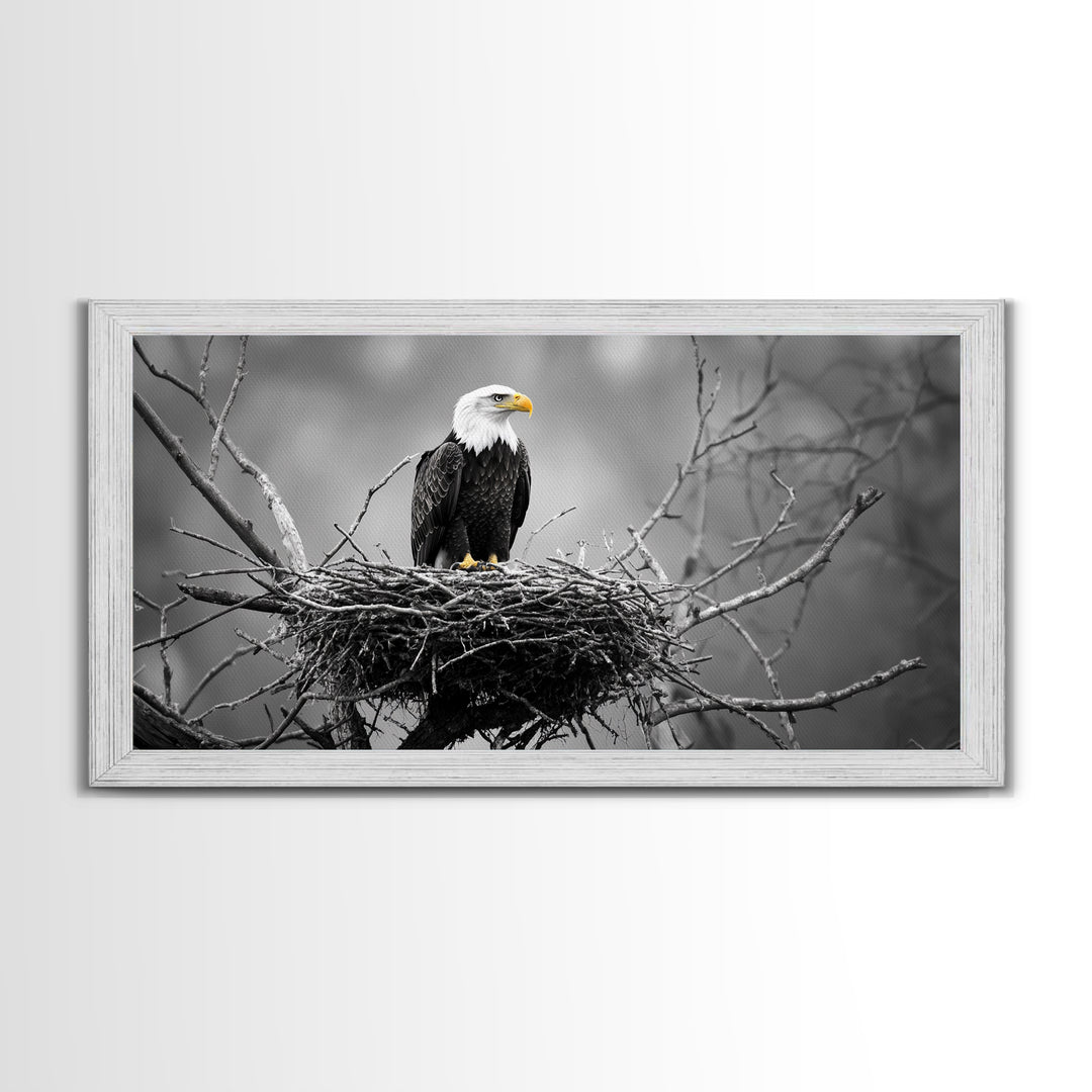 Bald Eagle, Monochrome Nature, Wildlife Photography, Fierce Majesty, Framed Canvas Print, Office Wall Art, Black White Bold Bird Scene